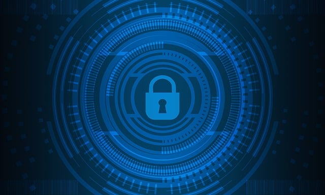 Lesson 2: Cybersecurity in the Digital World
